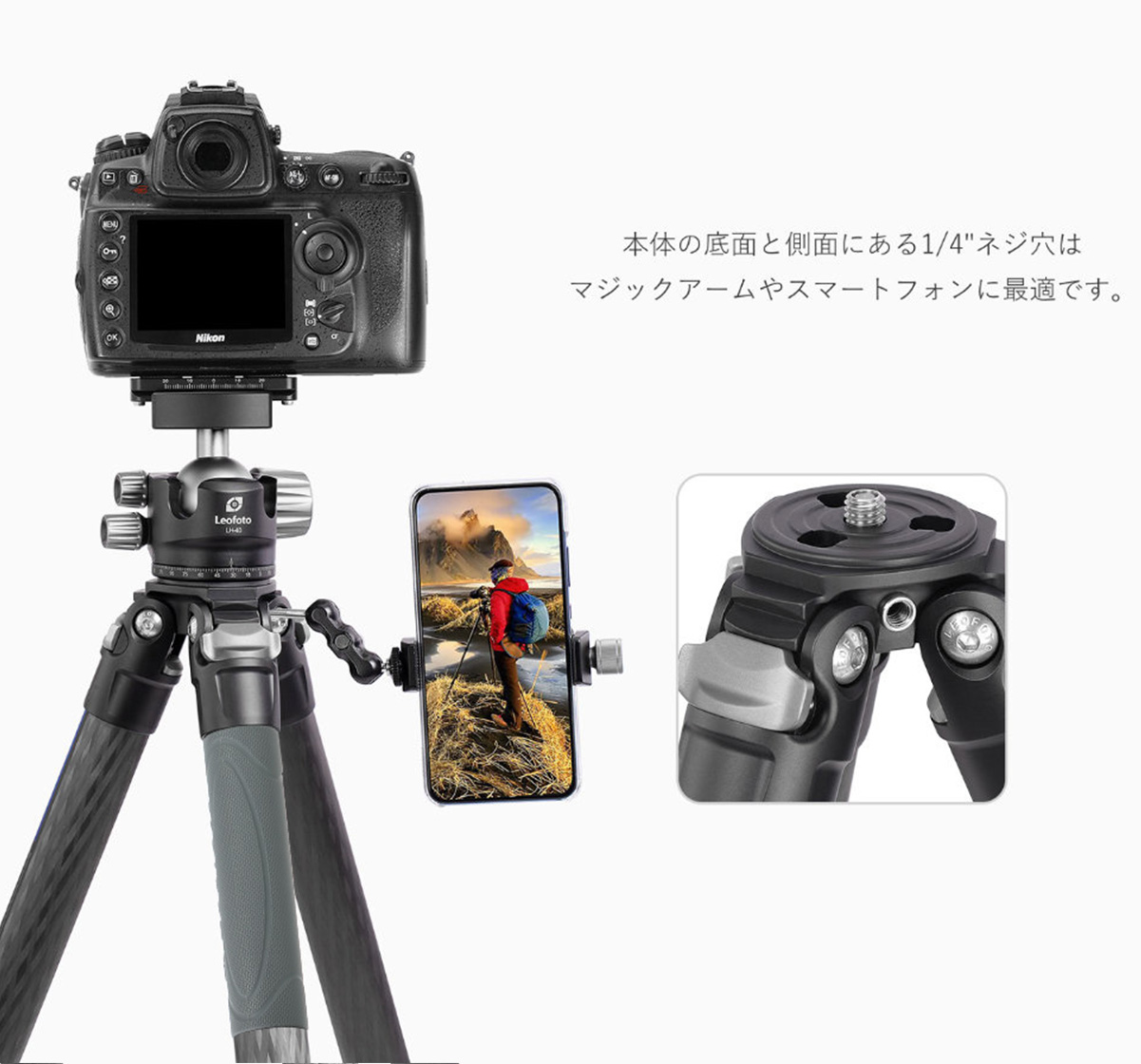 LS-365C カーボン三脚 レンジャーシリーズ Leofoto | 株式会社ワイド 