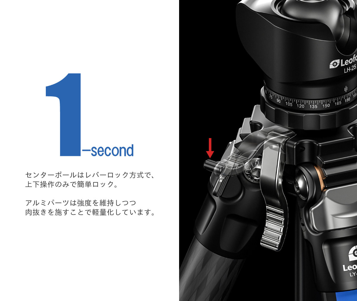 LY-224C+LH-25R(BK/BL/RD/YE) Mr.Yシリーズ カーボン三脚＋自由雲台セット Leofoto | 株式会社ワイドトレード