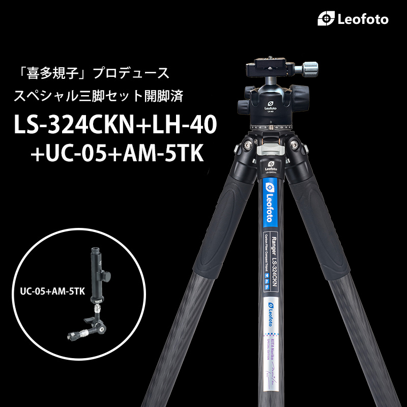 トヨタ レクサス 軟鉄鍛造アイアン＆モーダス スリーTOUR120